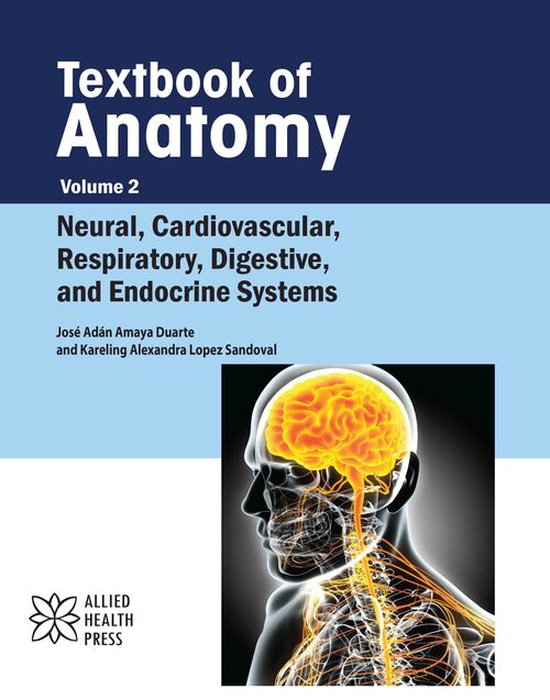 Textbook of Anatomy Volume 2: Neural, Cardiovascular, Respiratory, Digestive, and Endocrine Systems